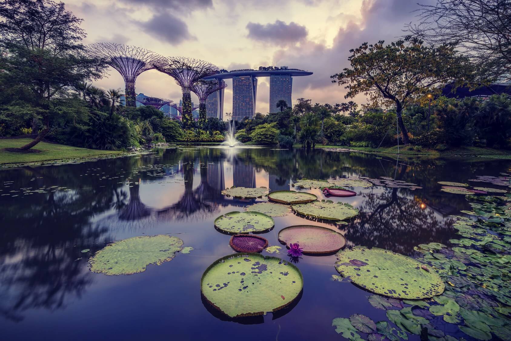 Singapore Botanic Gardens - Things To Do in Singapore - AssistAnt Luxury Travel