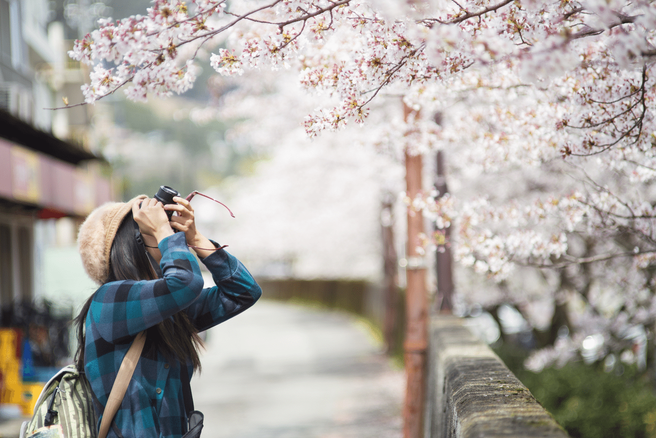 Sightseeing in Japan
