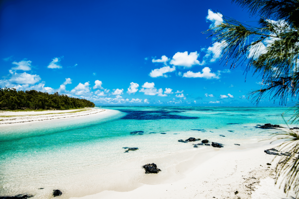 Island of Mauritius - AssistAnt