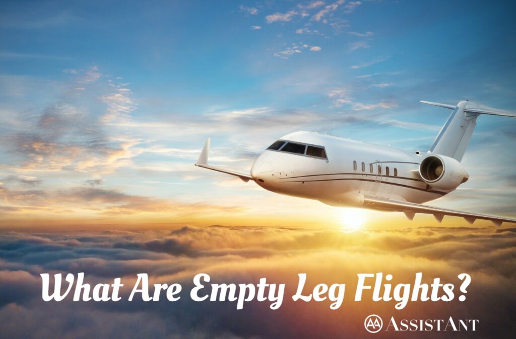 What Are Empty Leg Flights - AssistAnt Travel