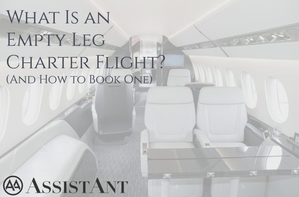 Empty Leg Charter Flight - AssistAnt