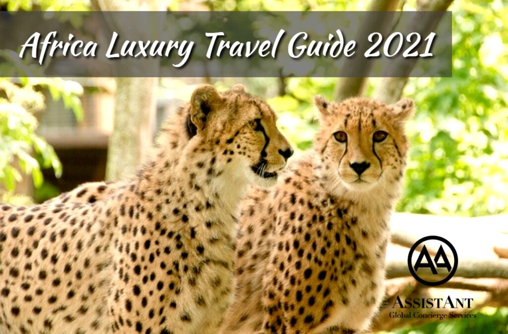 Africa Luxury Travel Guide 2021 - AssitAnt