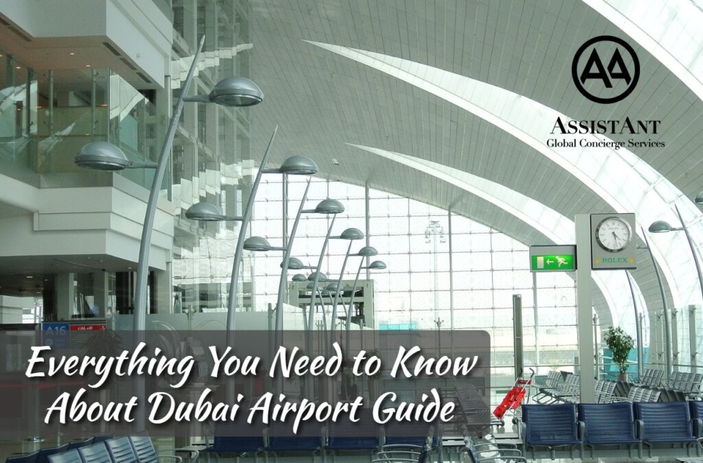 Everything You Need to Know About Dubai Airport Guide--AssitAnt