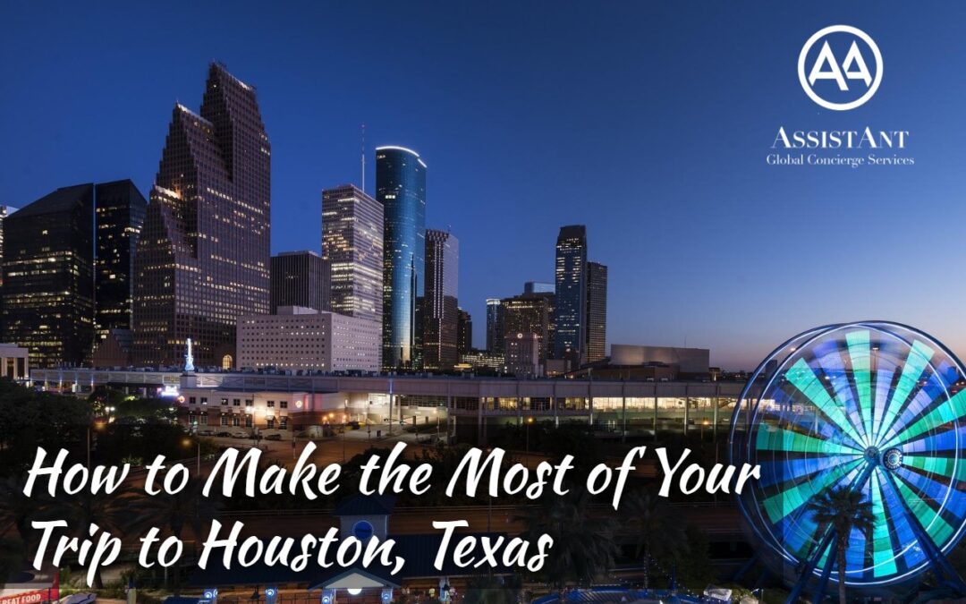 How to Make the Most of Your Trip to Houston, Texas