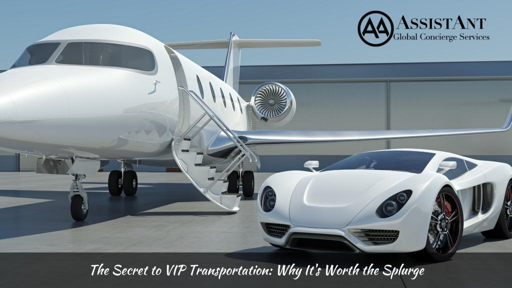 VIP Transportation Service
