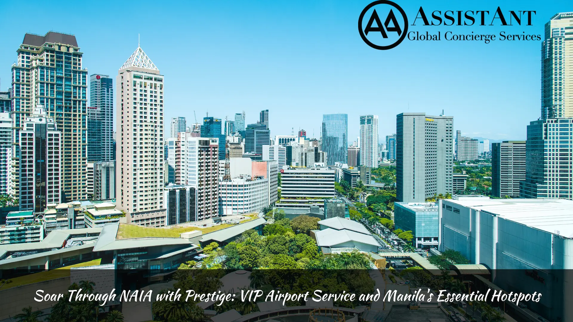 VIP Airport Service