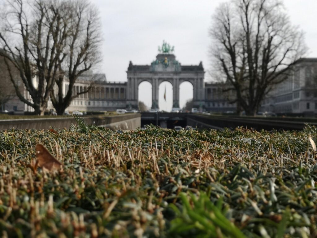 More services in Brussels