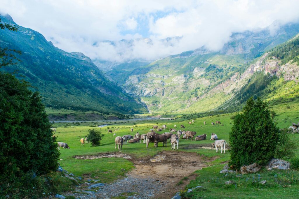 More services in Huesca